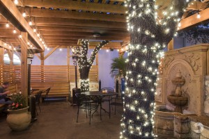A photo of Las Palomas Restaurant's patio in West Woods Shopping Center Austin, TX