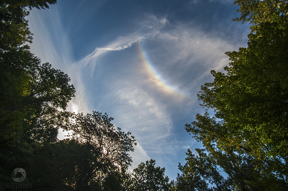 a photo of a sundog in the sky, surrounded by trees