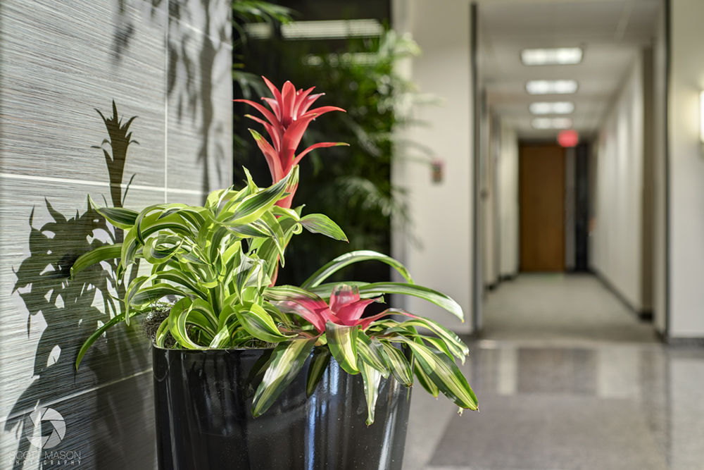 a close up of flowers in a pot in an office lobby