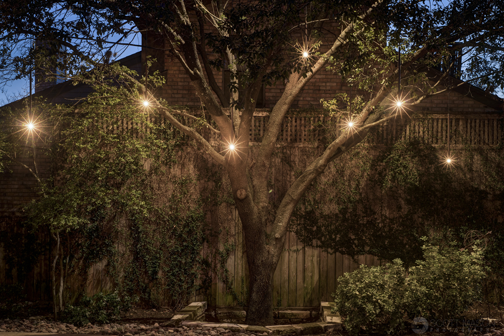 a photo showing a tree with hanging lights in it and a fence behind it at twilight