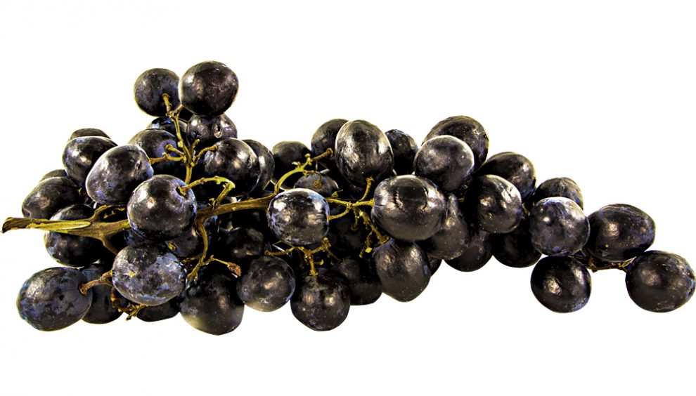 a photo of purple grapes cut out over a white background