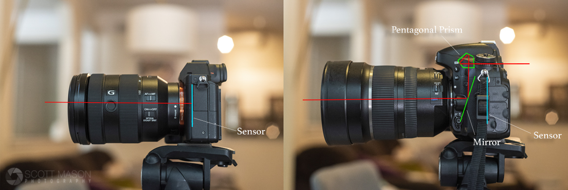 a side-by-side diagram of mirrorless and DSLR cameras, showing the anatomy of how light travels