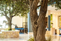 interior detail photo of the Fairmont Hotel Austin lobby